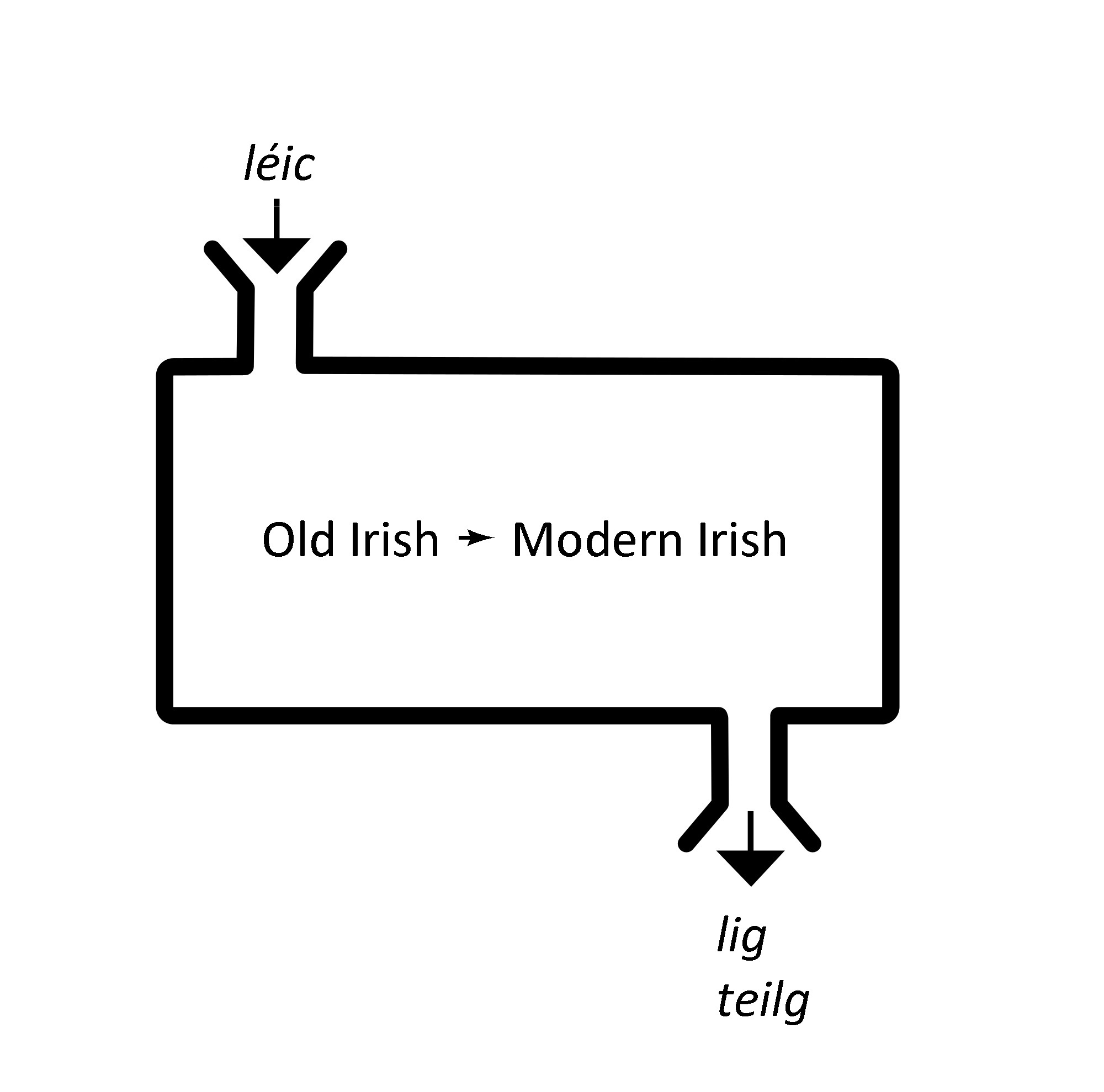 Theodorus Fransen - historical stem changes