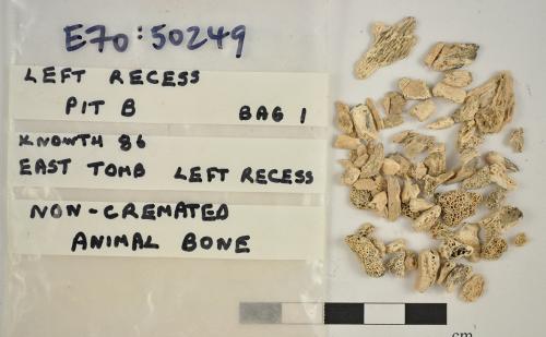 Photo courtesy of Dr Jessica Smyth (UCD), who has been recently awarded a Consolidator Laureate Grant for her project ‘Passage Tomb People: investigating the social drivers of passage tomb construction'