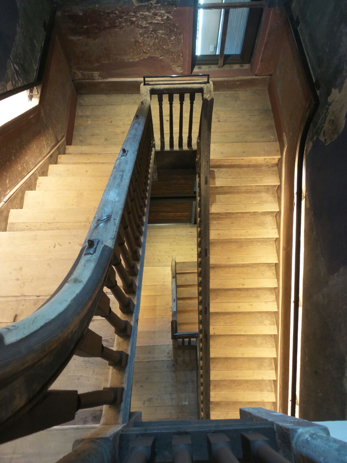 Ellen Rowley - illustration 2