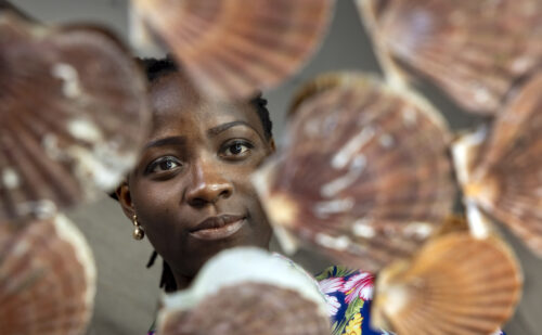 Woman pictured surrounded by scallop shells
