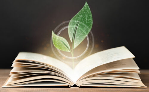 Leaf sprouting out of a book